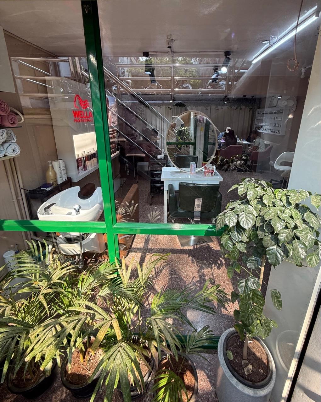  salon,interior,plants,mirror,hair products 