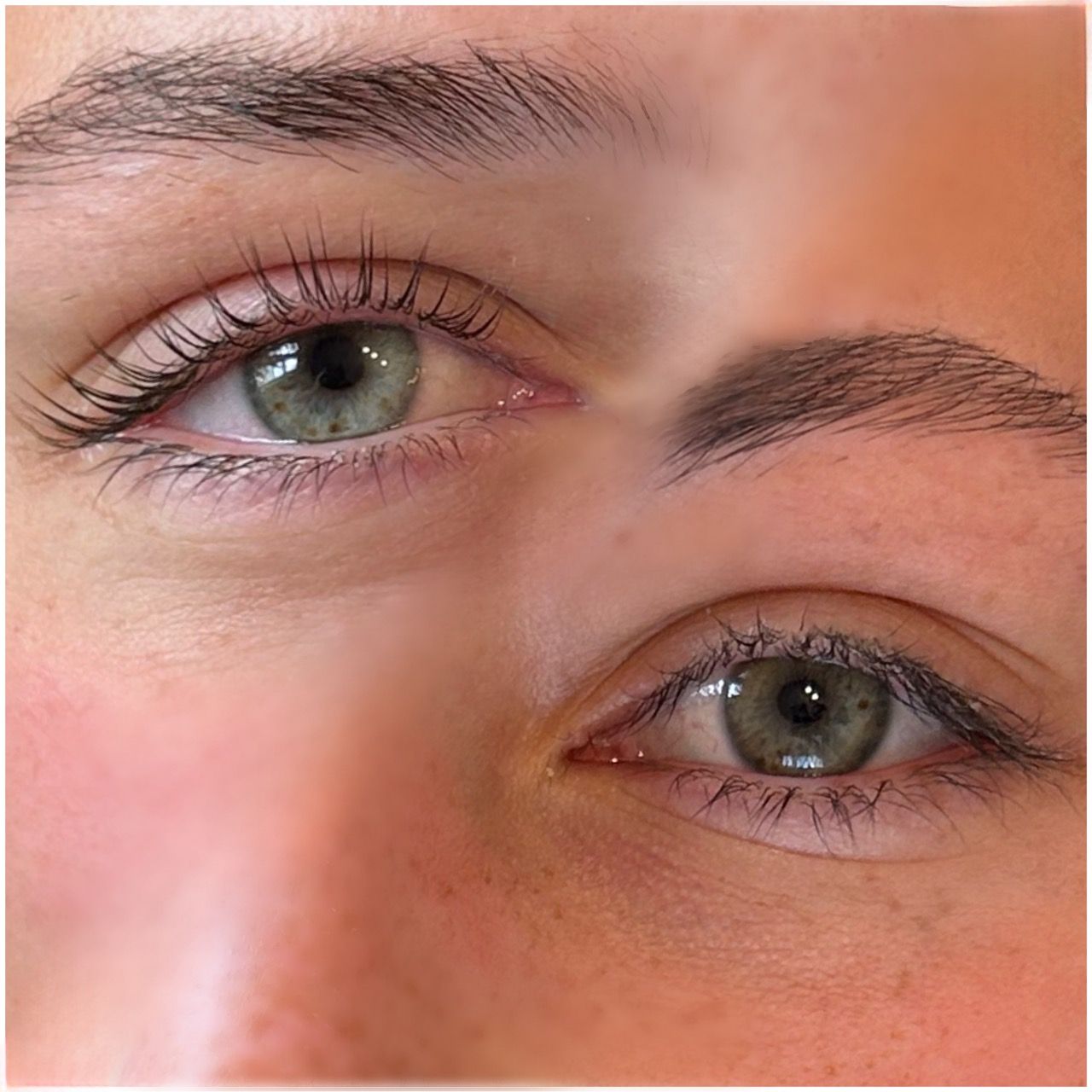  beauty,eyes,eyebrows,close-up,comparison  