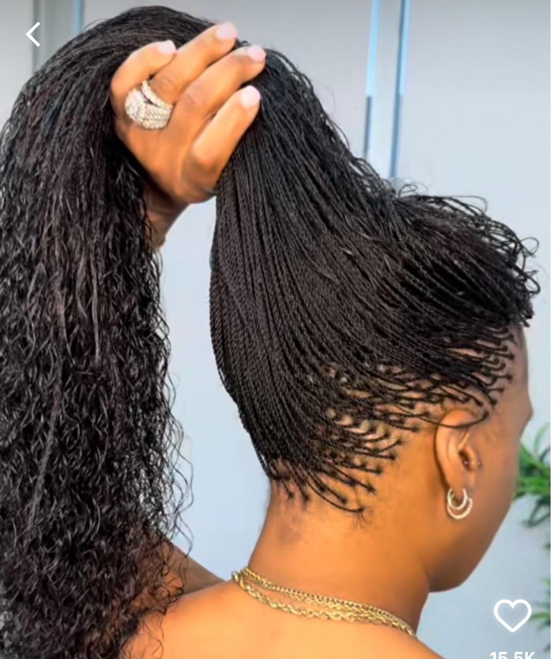 Braid Styles