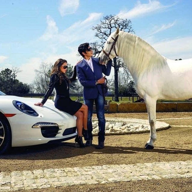 luxury,car,horse,people,outdoor