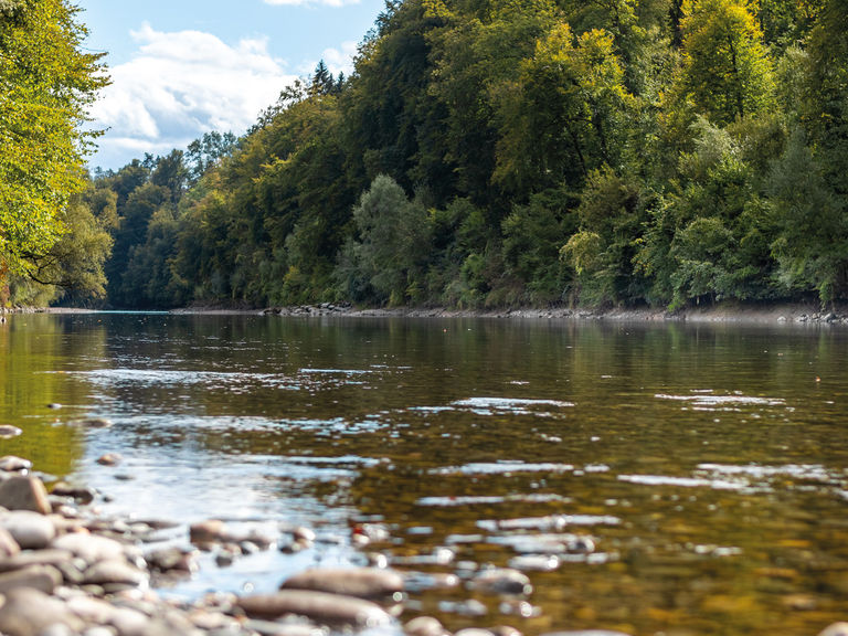 ARA_Zoebeli Communications ARA_Zoebeli Communications