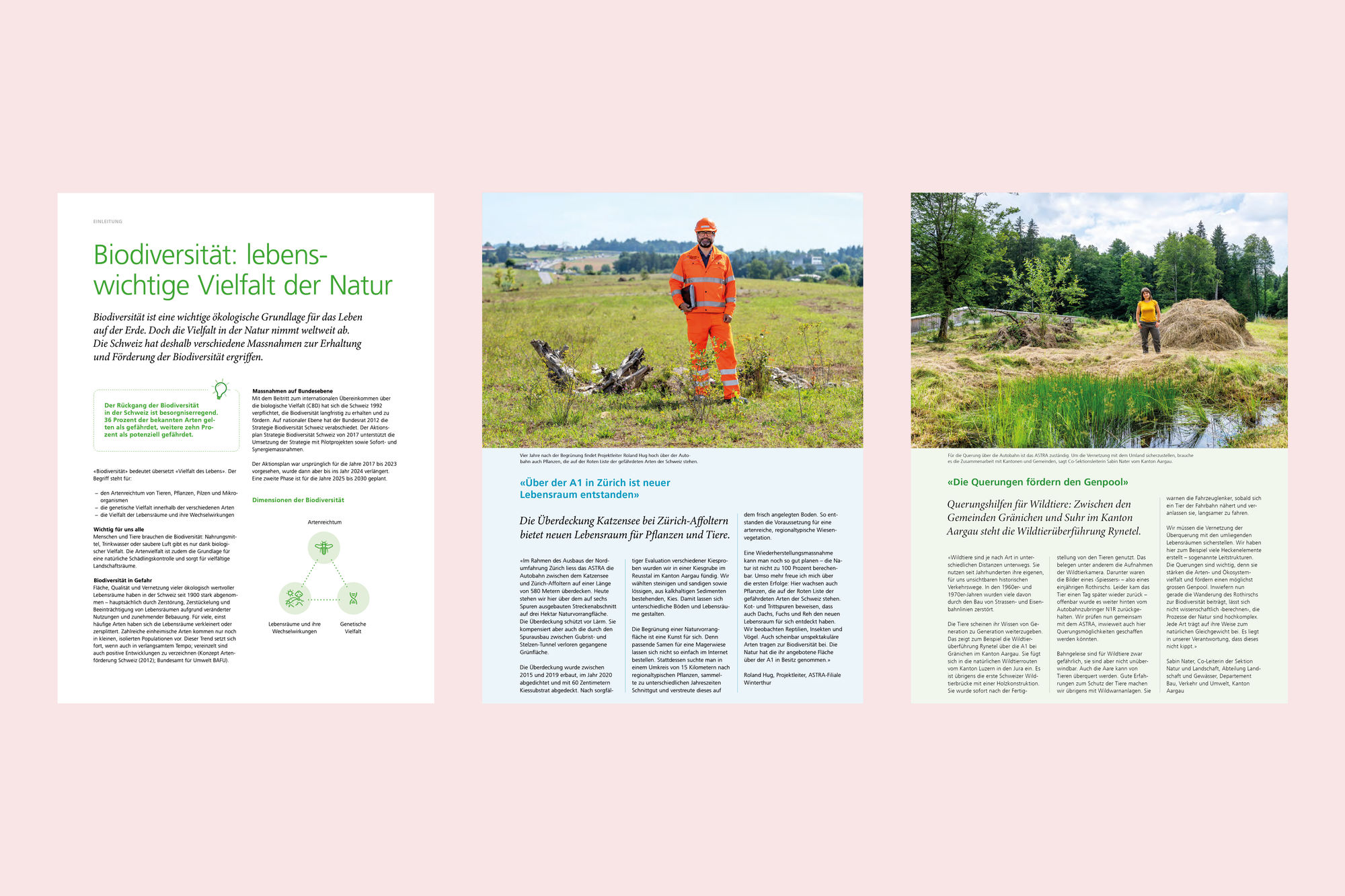 Biodiversitätsbericht Biodiversitätsbericht