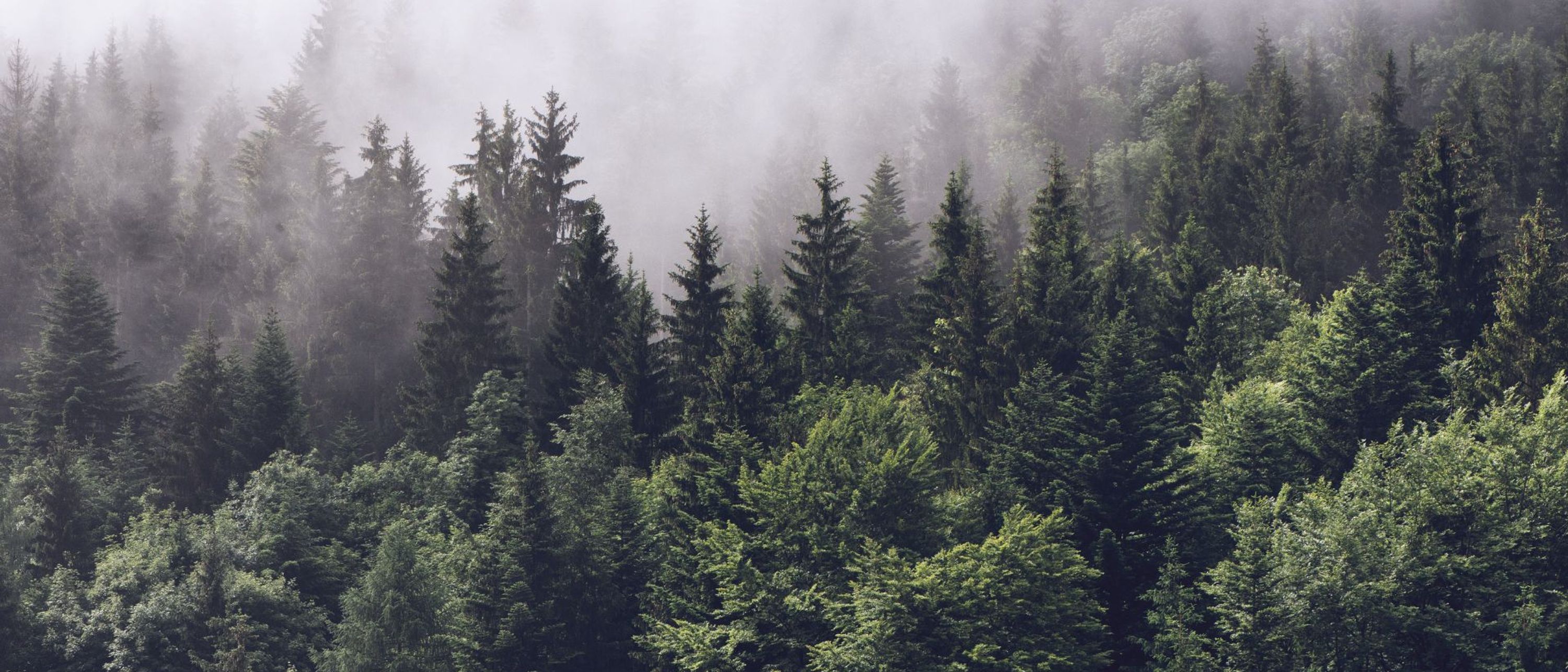 Klimaprogramme kommunizieren Klimaprogramme kommunizieren