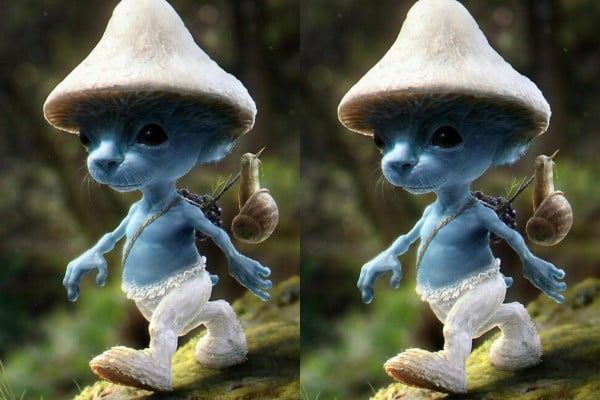 Makna Arti Meme Smurf Cat Yang Viral Apa Ini Dia Penjelasanya Ternyata Zona Malang 6516