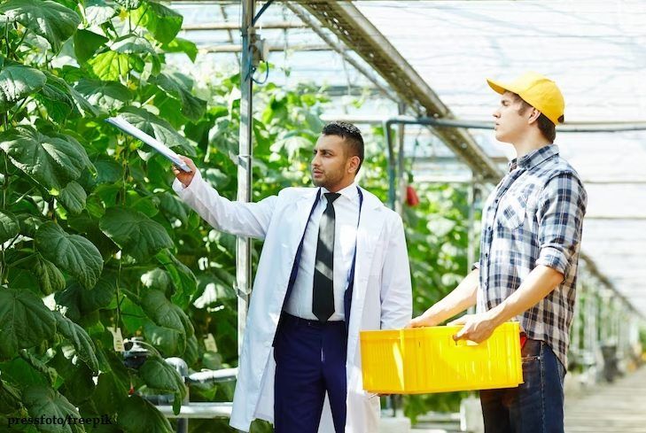20+ Prospek Kerja Agribisnis dan Gajinya » ZonaPintar