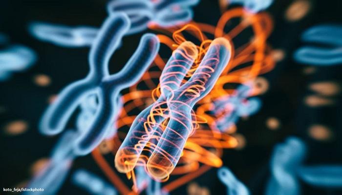 Perbedaan DNA dan RNA