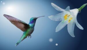 Perbedaan Flora dan Fauna