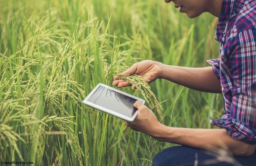 Prospek Kerja Agroteknologi