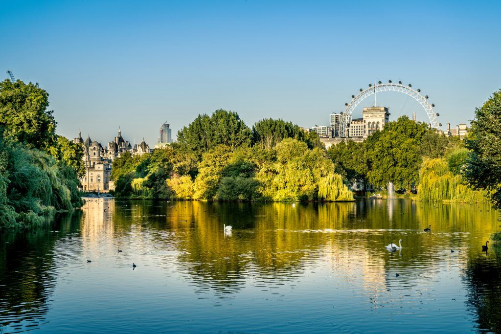 London Half-Day Private Car Service