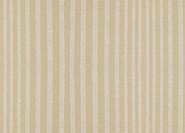 Stripe Design Curtain - CL.Gold