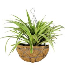 CIRCLE IRON BASKET 12 INCH WITH COCO LINER