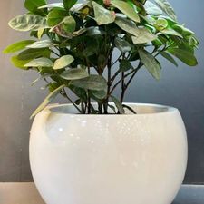 BALL FIBER POT Small
