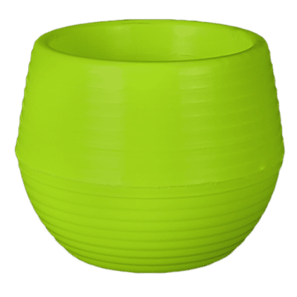 image5