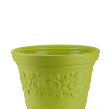 SUNNY POT 12 INCH FRESH
