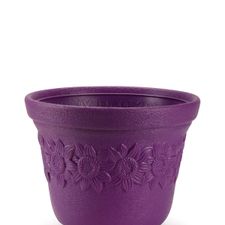 SUNNY POT 05 INCH FRESH