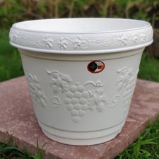 V BLOSSOM POT 12 INCH FRESH