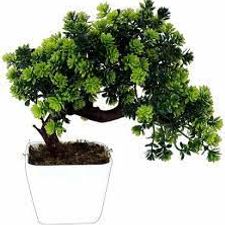 Bonsai Pot 16