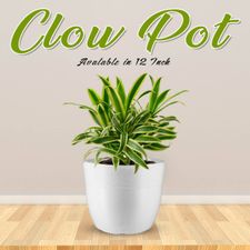 Clow Pot 13 Fresh