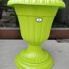 Tulip Pot 13 Fresh
