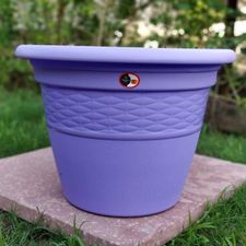 LAVISH POT 13