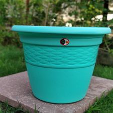 LAVISH POT 20