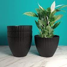 D Pot 12