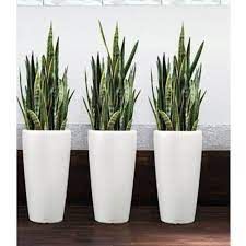Melcovran Fiber Pot 24