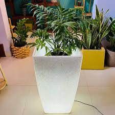 SQUARE PARIS white