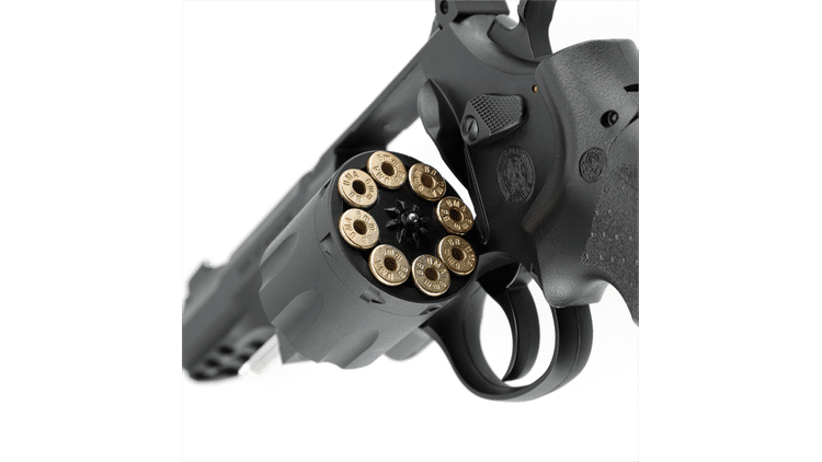 iv_Smith & Wesson M&P R8_3