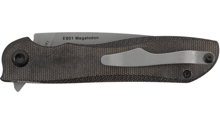 iv_Real Steel Megalodon Fossil_2