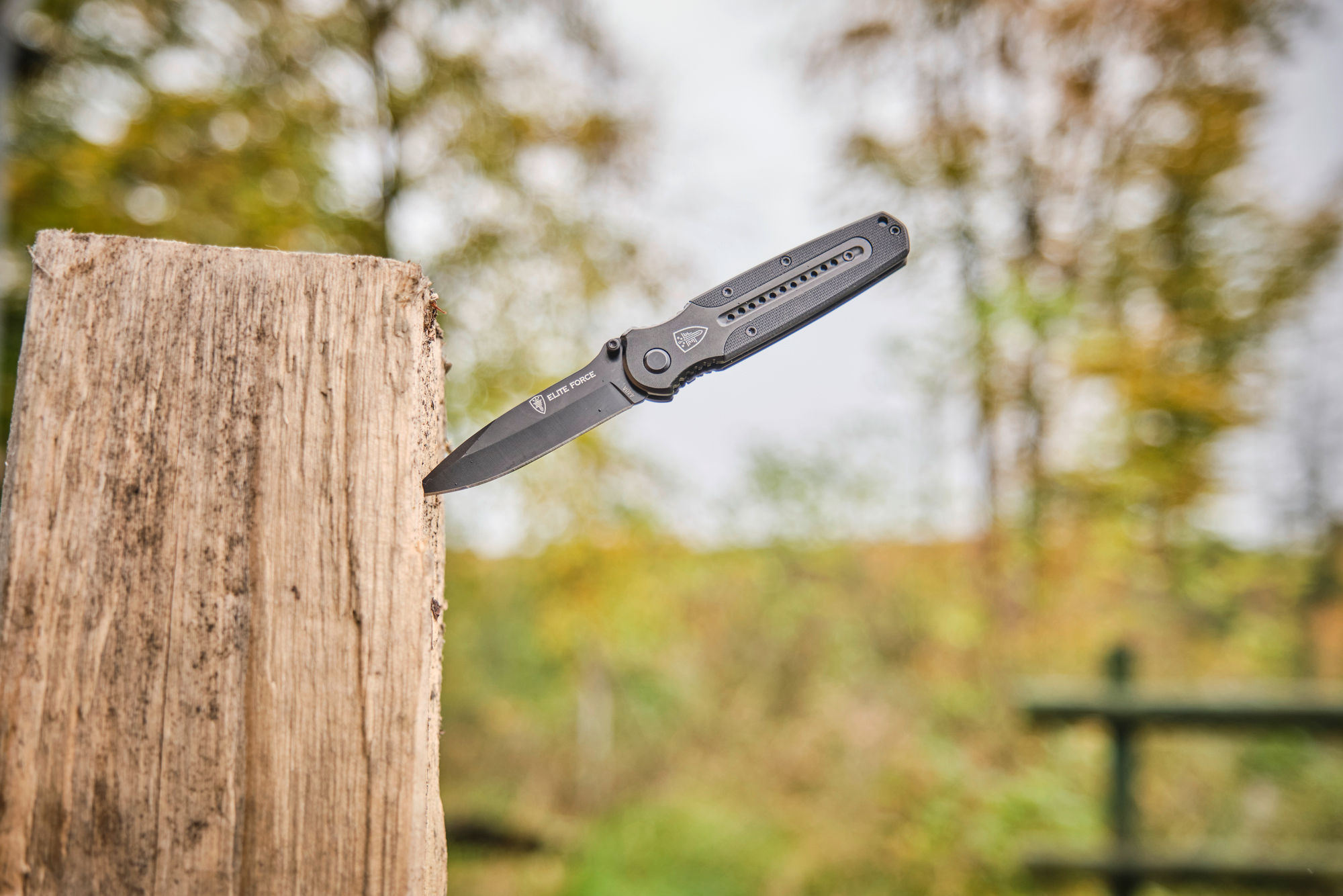Products » Knives & tools » Folding knives » 5.0904 » EF103 » www