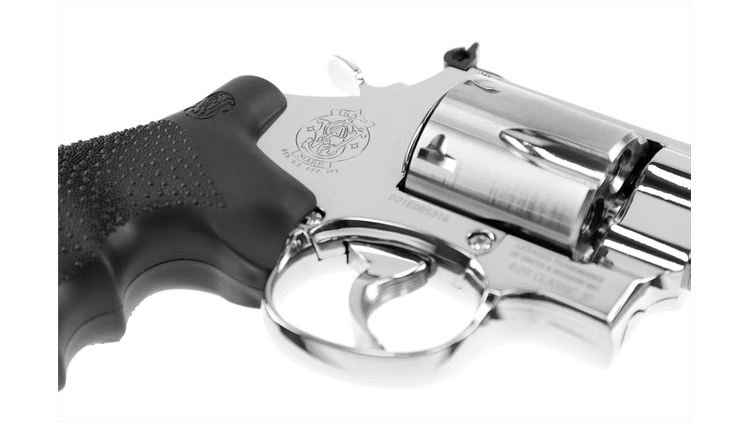 iv_Smith & Wesson 629 Classic 5