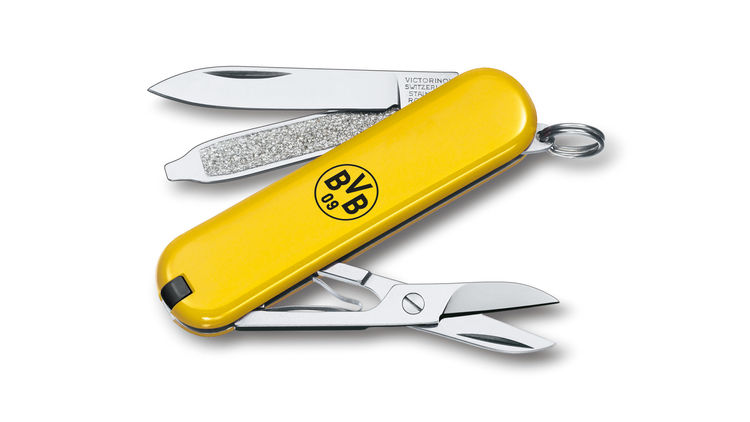 iv_Victorinox BVB Classic SD_0