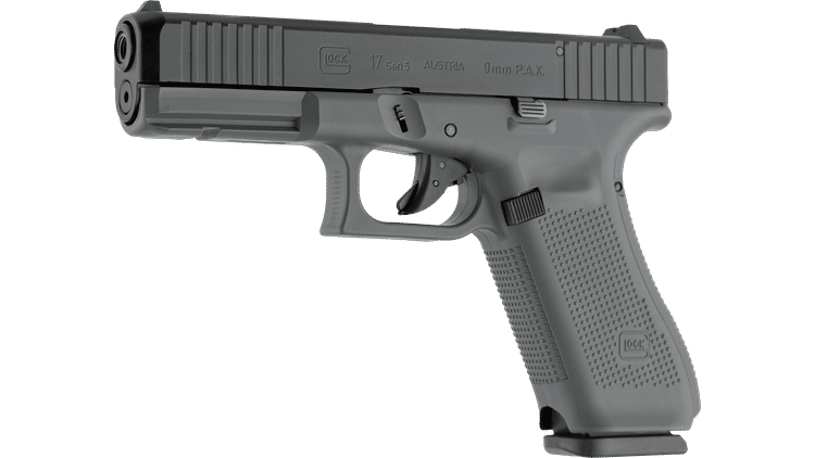 iv_GLOCK 17 Gen5_1