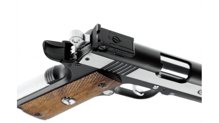 iv_Colt Special Combat Classic_4