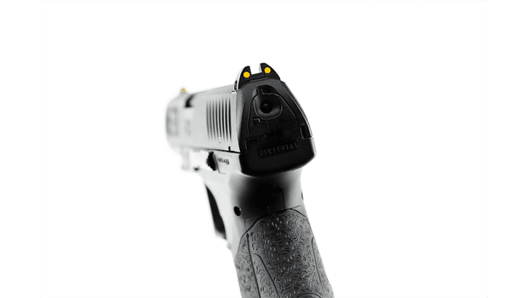 iv_Walther PPQ_4