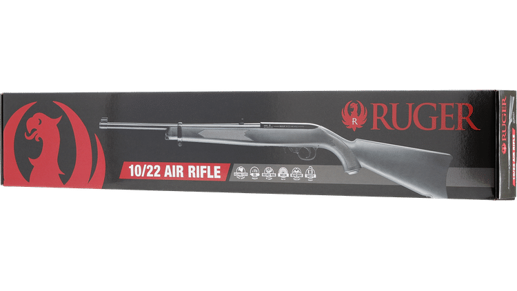 iv_Ruger 10/22_4