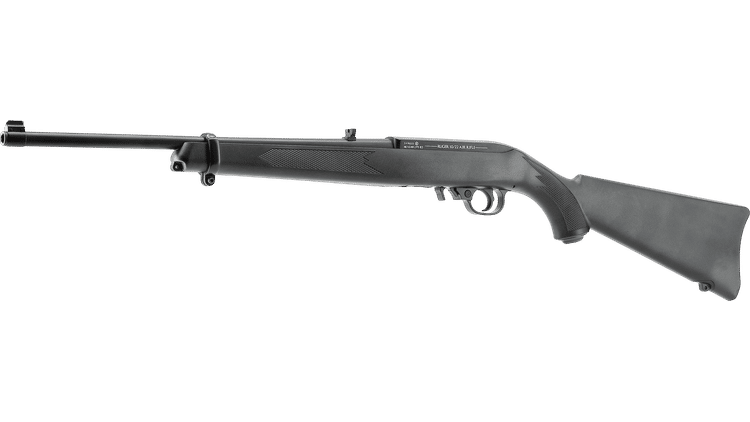 iv_Ruger 10/22_1