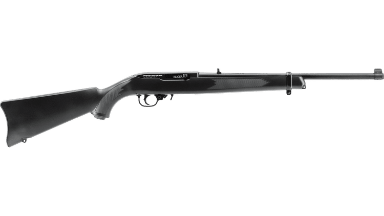 iv_Ruger 10/22_2