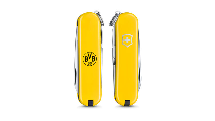 iv_Victorinox BVB Classic SD_1