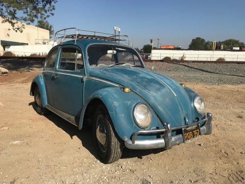 1965 Volkswagen Beetle / Classic Bug for sale