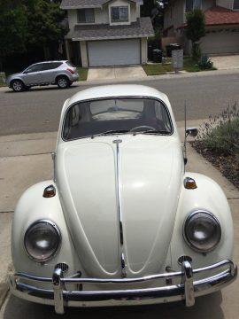1965 Volkswagen Beetle Classic in great condition for sale
