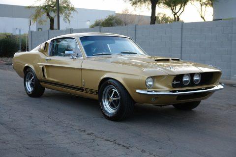 1967 Ford Mustang Gt350 Tribute for sale