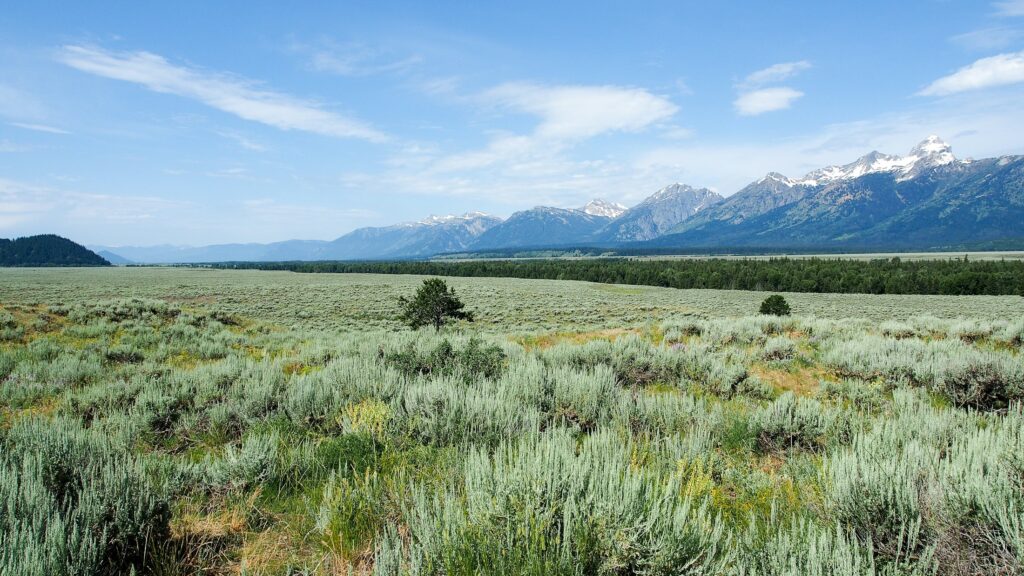 Open grassland beneath the Teton Range in Wyoming
