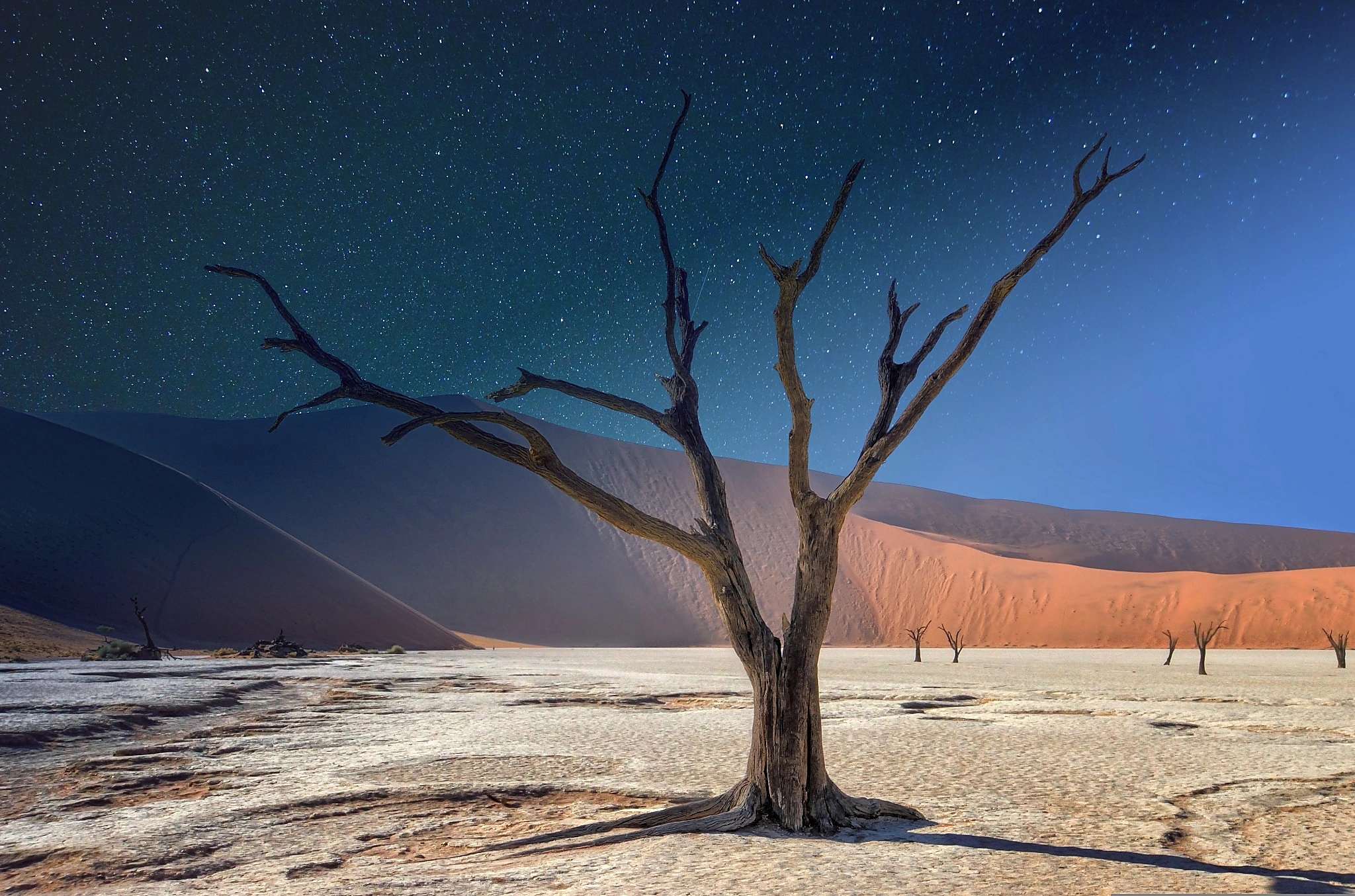 Deadvlei in Namibia beneath a star-filled night sky with red dunes and a dead camel thorn tree
