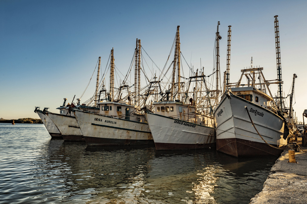 Sourced from pristine shores and farms