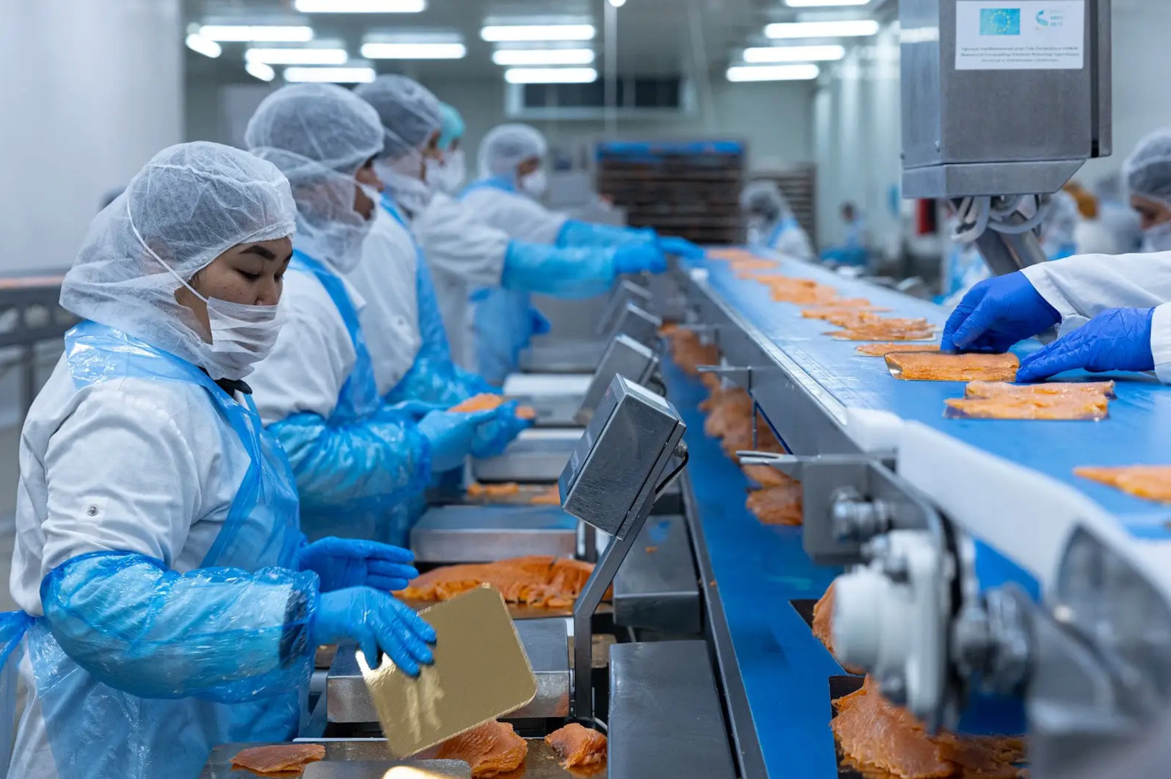 Network card image for Inside KORAL's Processing Factory