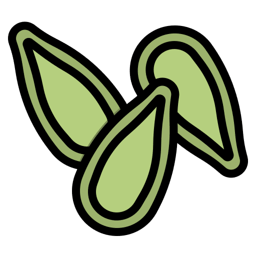 Pumpkin Seeds