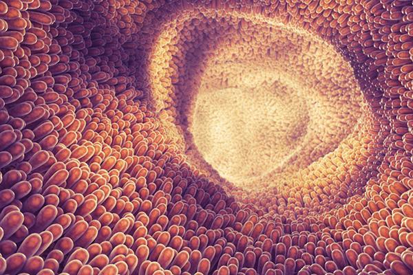 Close-up abstract image of clustered cells or microbes in pink and orange tones.