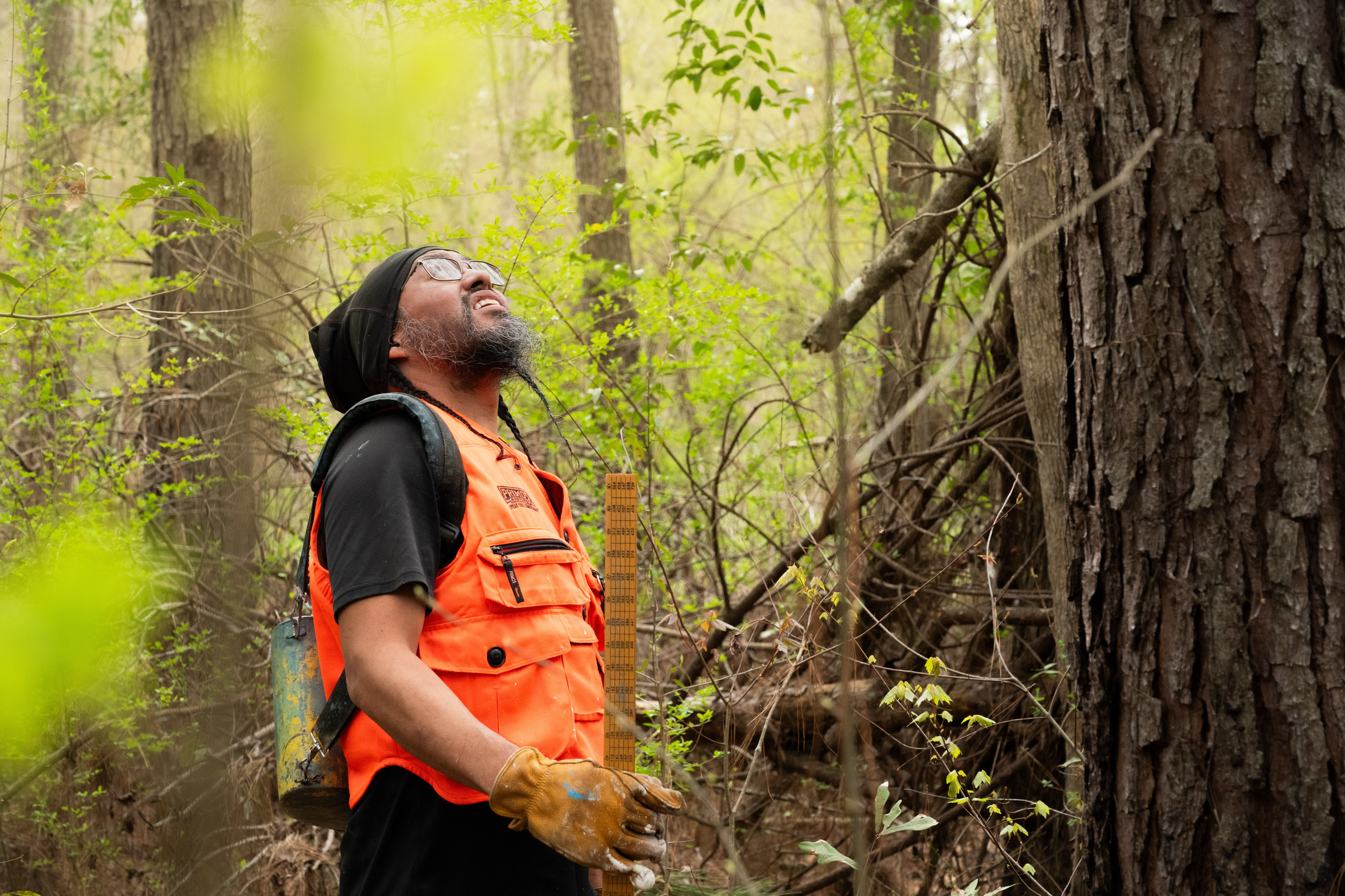 A tribal member measuring tree growth, Mississippi Band of Choctaw Indians IFM, USA